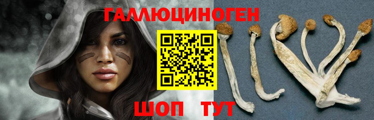 Кимры  Псилоцибиновые грибы Psilocybe  Вход с VPN 