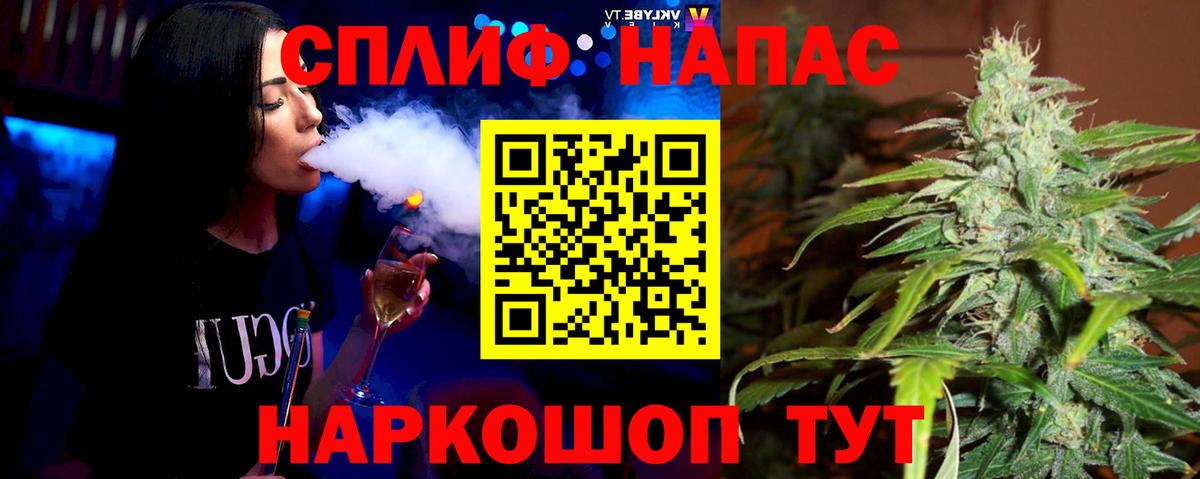 Бошки Шишки Кимры